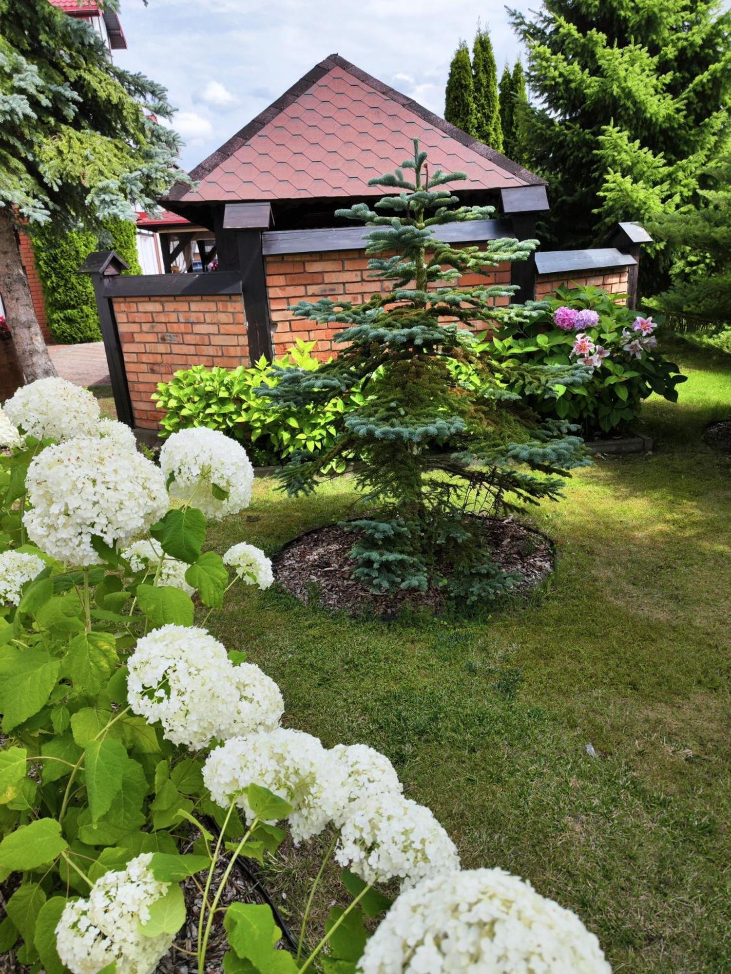 Michalek W Rowach Rowy (Pomerania) Exterior foto
