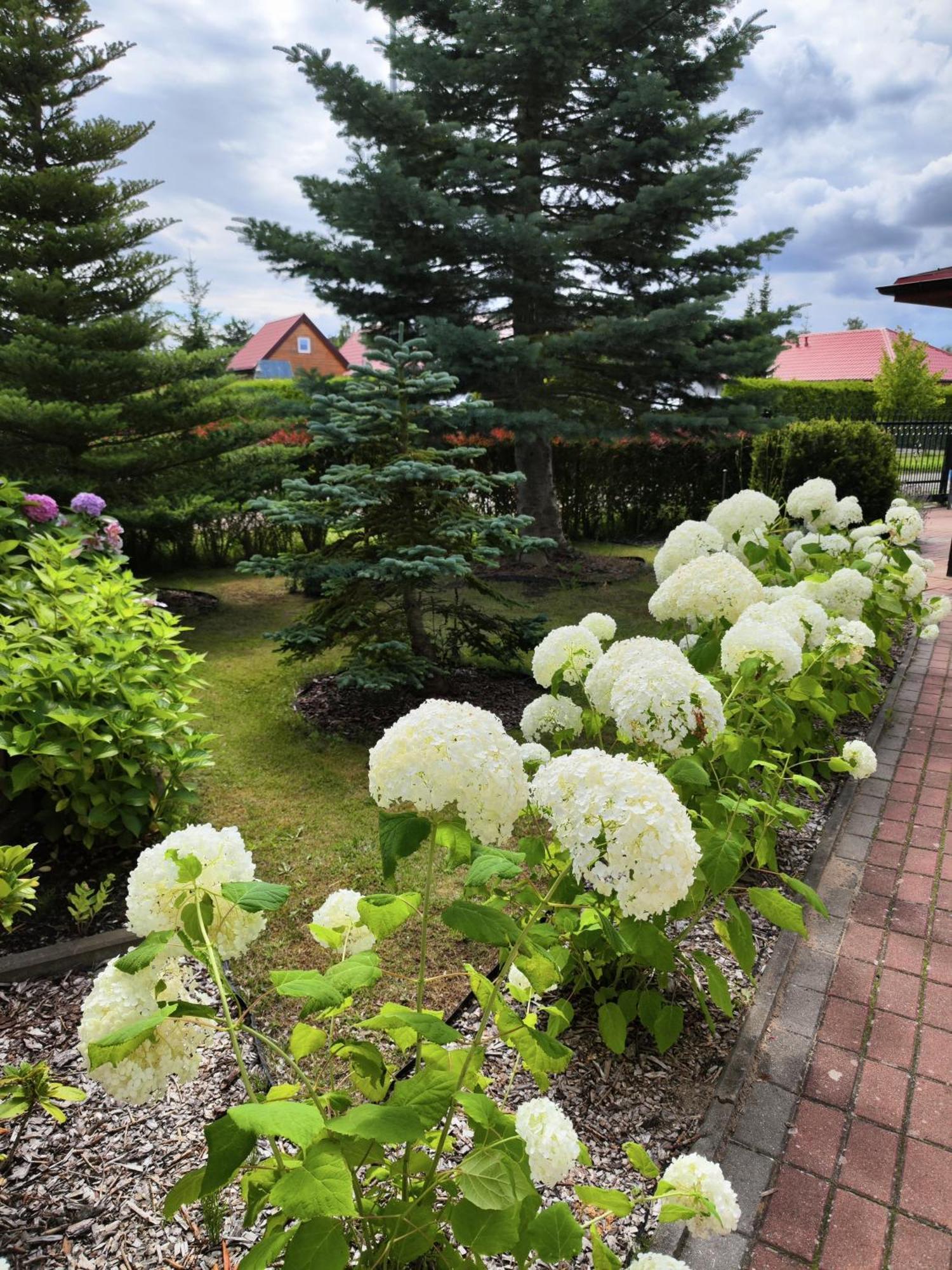 Michalek W Rowach Rowy (Pomerania) Exterior foto